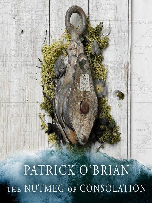 Cover image for The Nutmeg of Consolation